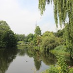 IMG_0001