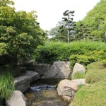 IMG_0016