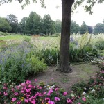 IMG_0073