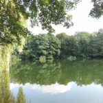 2016-07-27 Schaalsee 111
